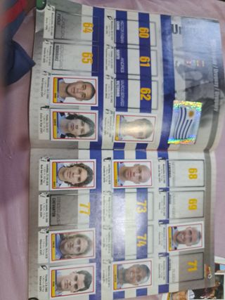 COPA AMÉRICA 2007 Incompleto  panini