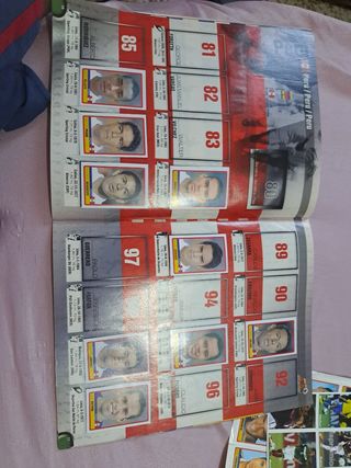 COPA AMÉRICA 2007 Incompleto  panini