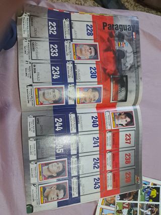 COPA AMÉRICA 2007 Incompleto  panini