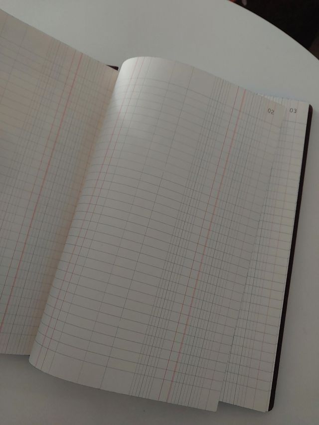 Diario MiquelRius Nuevo