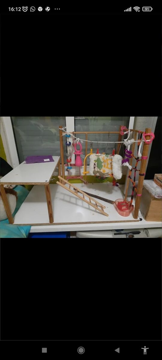 Jaula pajaro y parque