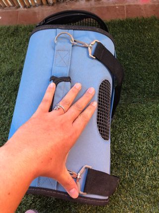 Trasportin mascotas pequeño