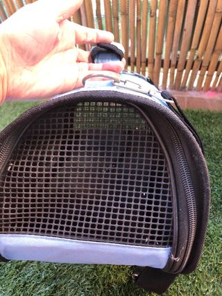 Trasportin mascotas pequeño