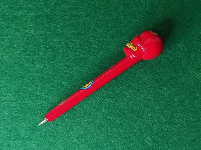 Funda de gafas Frida Kahlo + bolígrafo calaca.