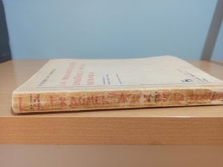 Fragmentación Lingüística de la Romania