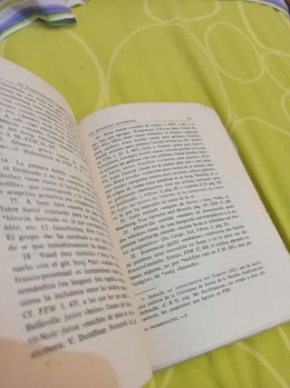 Fragmentación Lingüística de la Romania