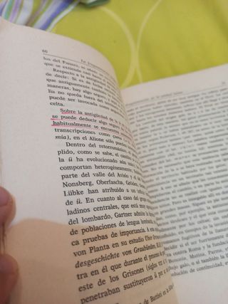 Fragmentación Lingüística de la Romania