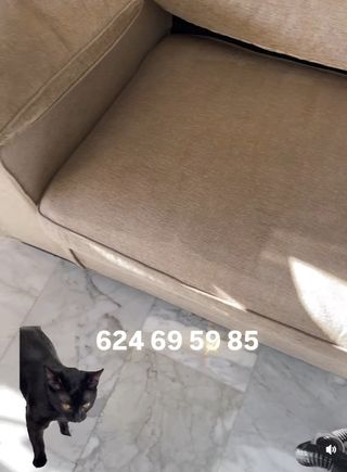 Limpieza de colchones y muebles