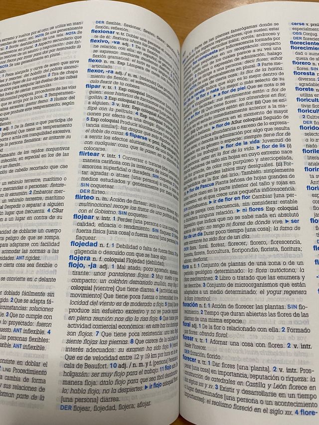 Diccionario secundaria y Bachillerato