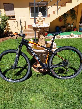 Bicicleta montaña Vitoria