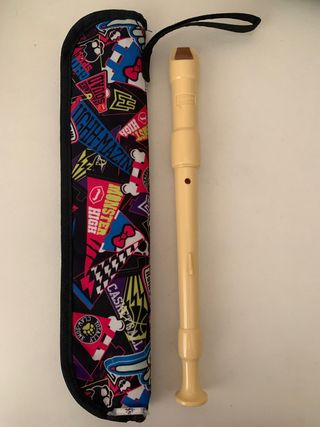 flauta y funda