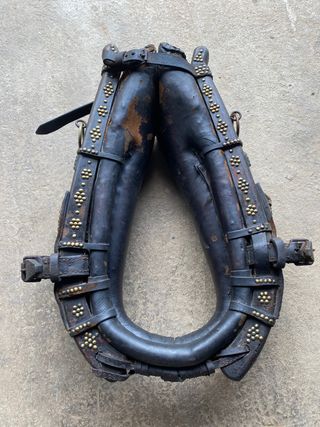 Collar para caballo