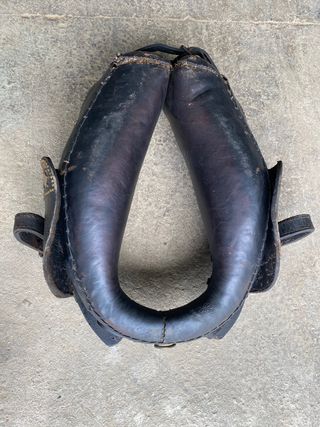 Collar para caballo