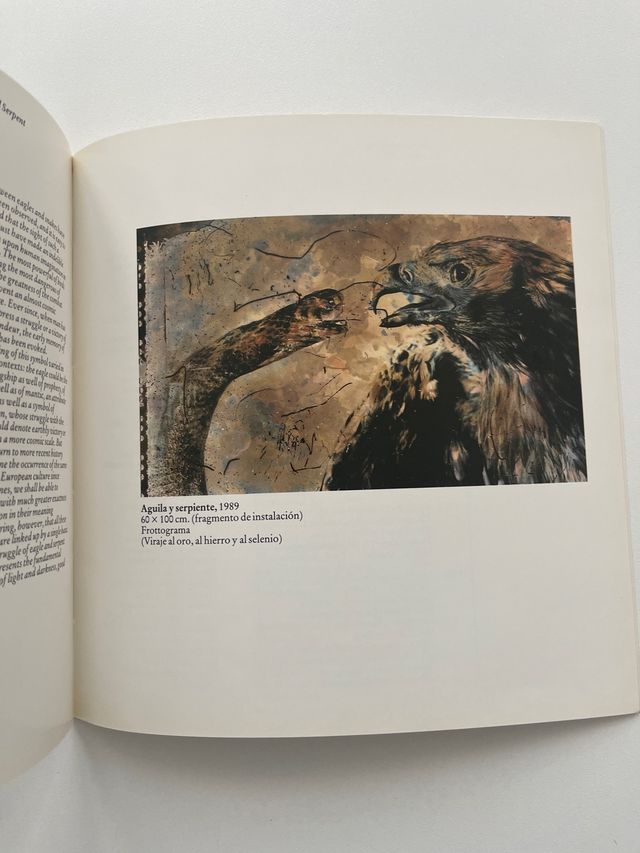 Fotolibro Joan Fontcuberta Frottogramas