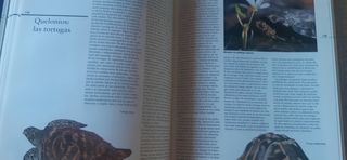 Enciclopedia de la naturaleza y medio amb