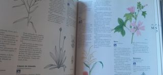 Enciclopedia de la naturaleza y medio amb