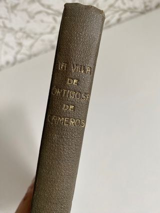 Monografia de la Villa de Ortigosa de Cameros