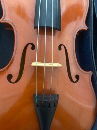 Violín clásico Reghin