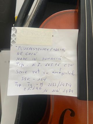 Violín clásico Reghin