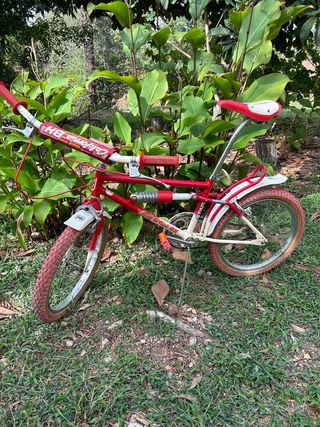 Bicicleta california bh star