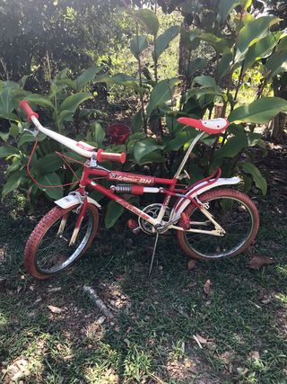 Bicicleta california bh star