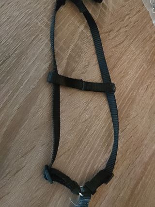 arnès de gato o perro pequeño