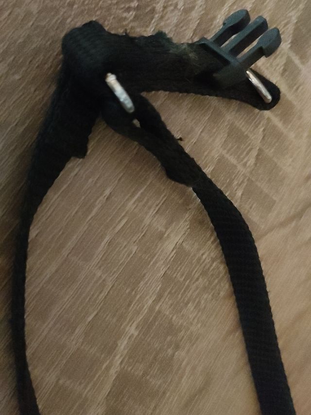 arnès de gato o perro pequeño