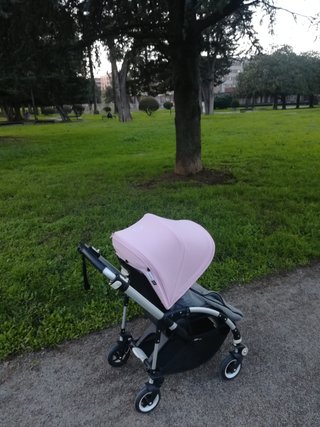 Carrito BUGABOO Bee 5 en rosa, verde y negro