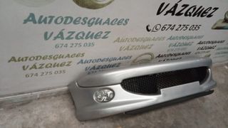 Defensa delantera C/F Peugeot 206 XS Gris