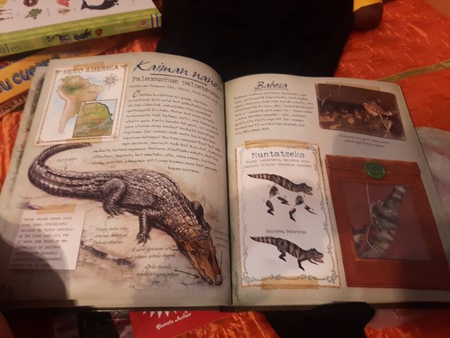 OIHAN TROPIKALEKO ANIMALIAK