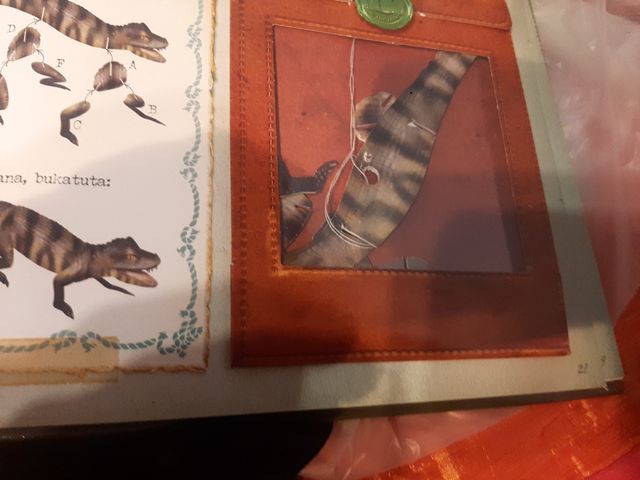 OIHAN TROPIKALEKO ANIMALIAK