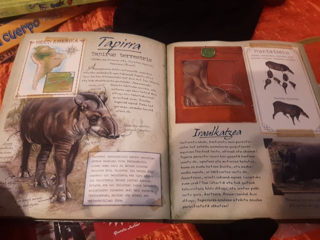 OIHAN TROPIKALEKO ANIMALIAK