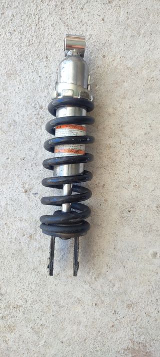 Suspensión Susi Gladius.