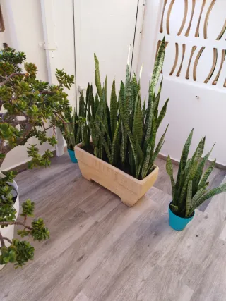 Jardinera de piedra.