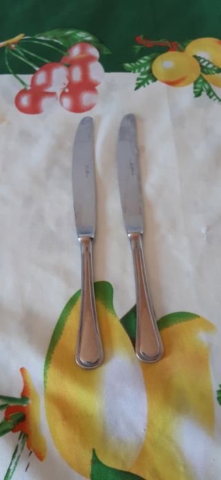 12 coltelli acciaio inox