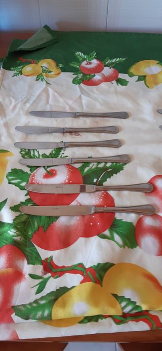 12 coltelli acciaio inox