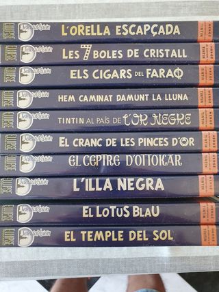 10 DVD's de TINTIN