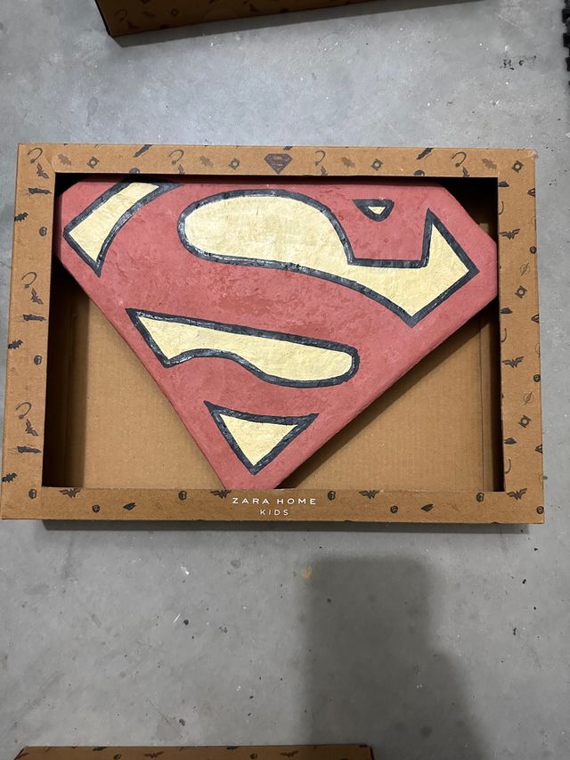 4 supereroi domestici di Zara