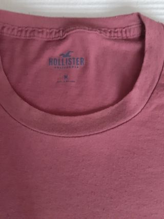 Camiseta Hollister. M