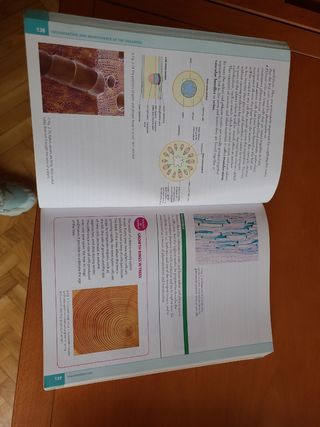Libro inglés Biología Collins