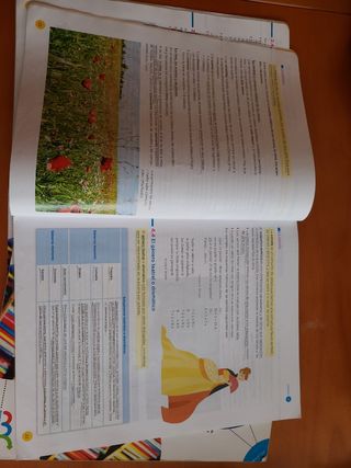 Libros Lengua y Literatura 3 ESO