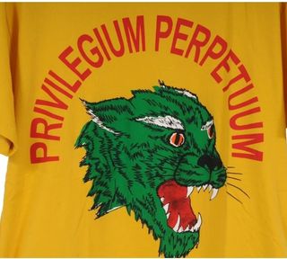 Gucci Camiseta Pantera - talla S