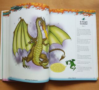 Libro Dibujar Dragones