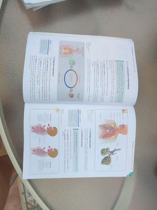 Libro de Priaux de 1° Grado Medio Farmacia