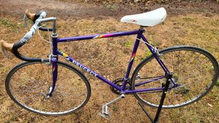 Bicicleta Peugeot Iseran