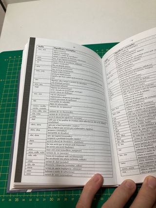 DICCIONARI Català-Castellà /Castellà-Català