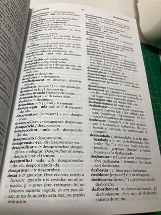 DICCIONARI Català-Castellà /Castellà-Català