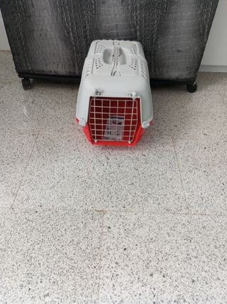 Transportín de animales nuevo