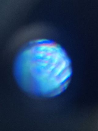 Microscopio 