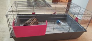 Jaula para cobaya